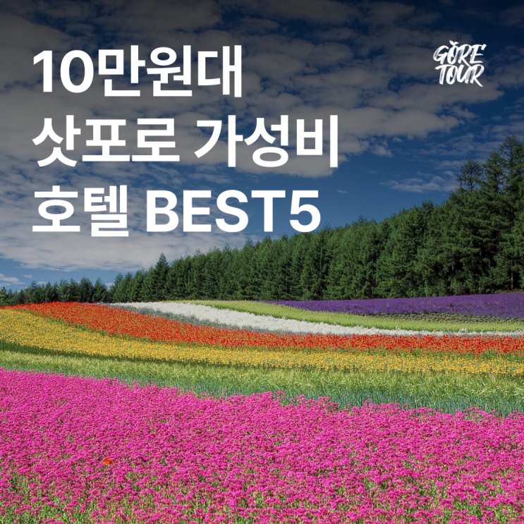  훗카이도여행 ㅣ 10만원대 삿포로 가성비 호텔 BEST 5