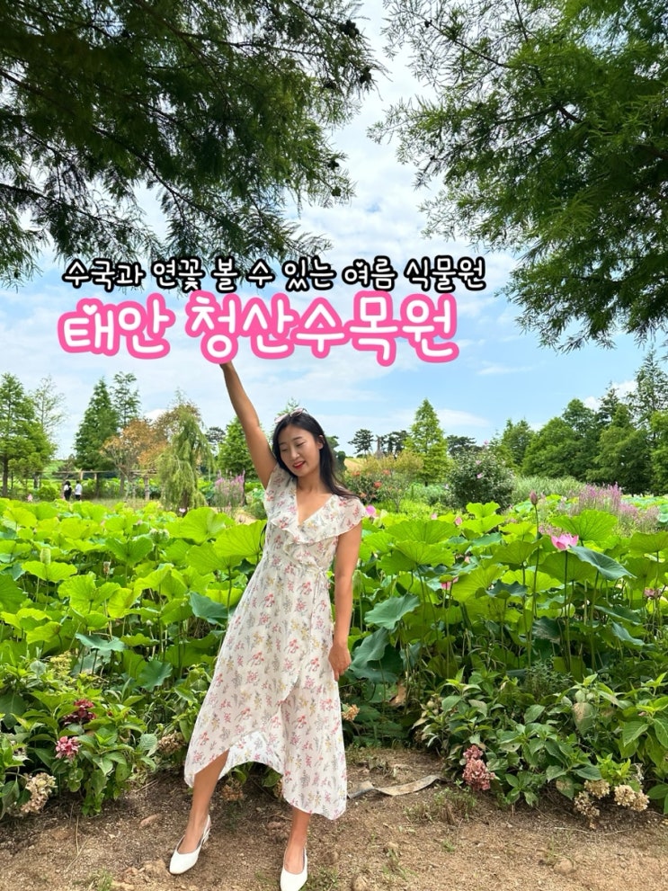  수국과 연꽃 즐길 수 있는 태안 청산수목원