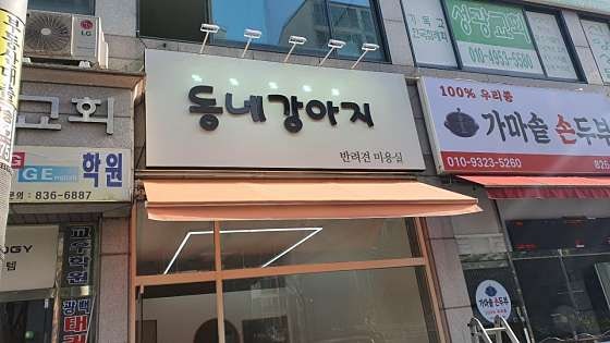 동네강아지