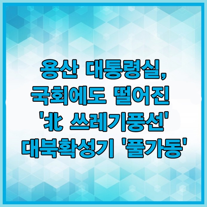 용산 <b>대통령실</b>, 국회에도 떨어진 북한 <b>쓰레기 풍선</b>