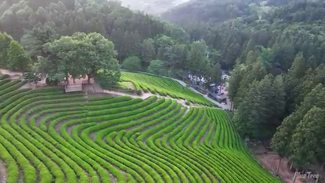  세종시 사회복지사 수당 사회복지사2급 직장인도 학점은행제 활용하여 간단하게
