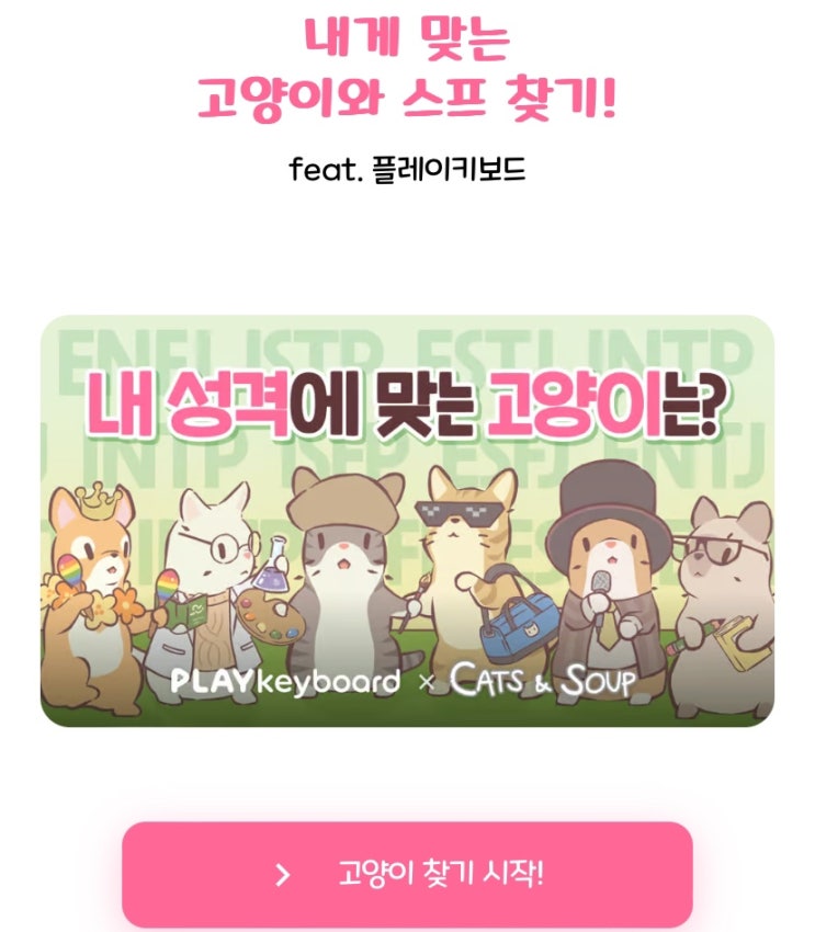  내게 맞는 고양이와 스프 찾기!, 내 성격에 맞는 고양이는 어떤 고양이일지 알아보기!