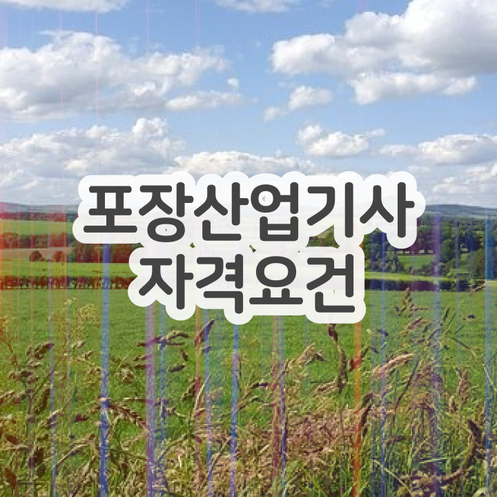  포장산업기사 시험자격 온라인 수업으로 15주 동안 성공한 팁