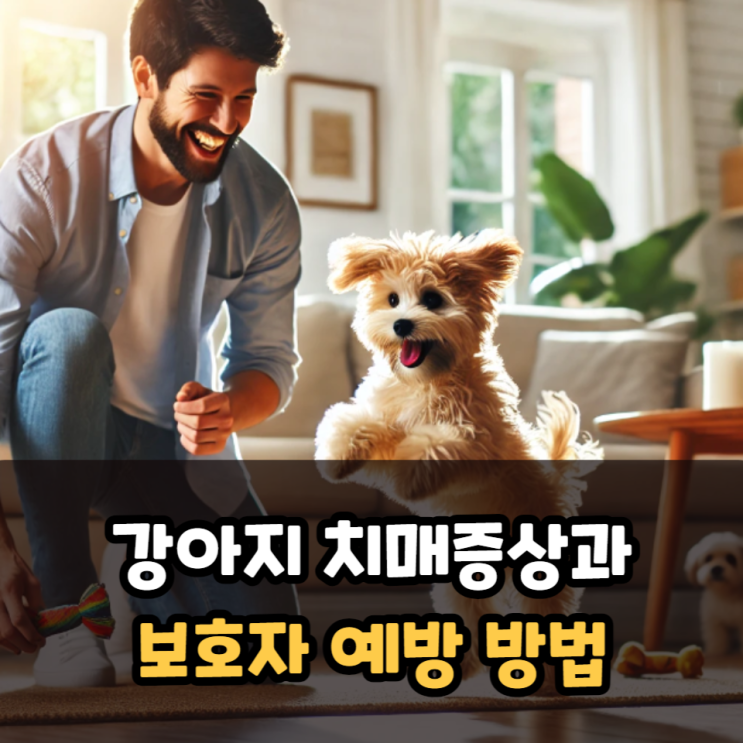  강아지 치매증상과 예방 방법