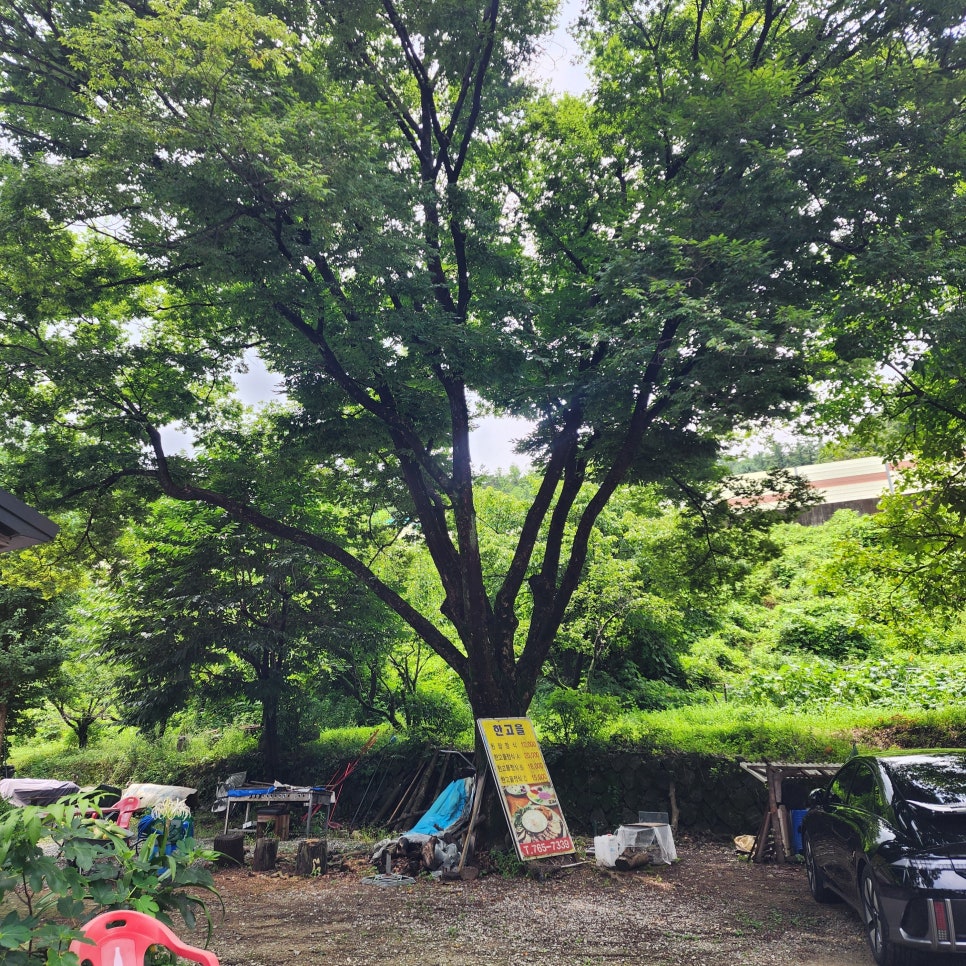 한고을 사진 2