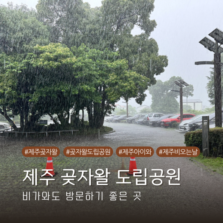  제주 곶자왈 도립공원 비오는 날 아이와 함께 신나게 뛰어논 날