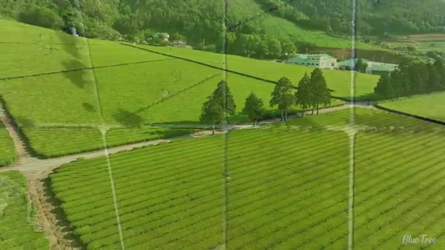  철원 사회복지 자격증 신청 사회복지사2급 비전공자도 온라인 과정으로 편하게