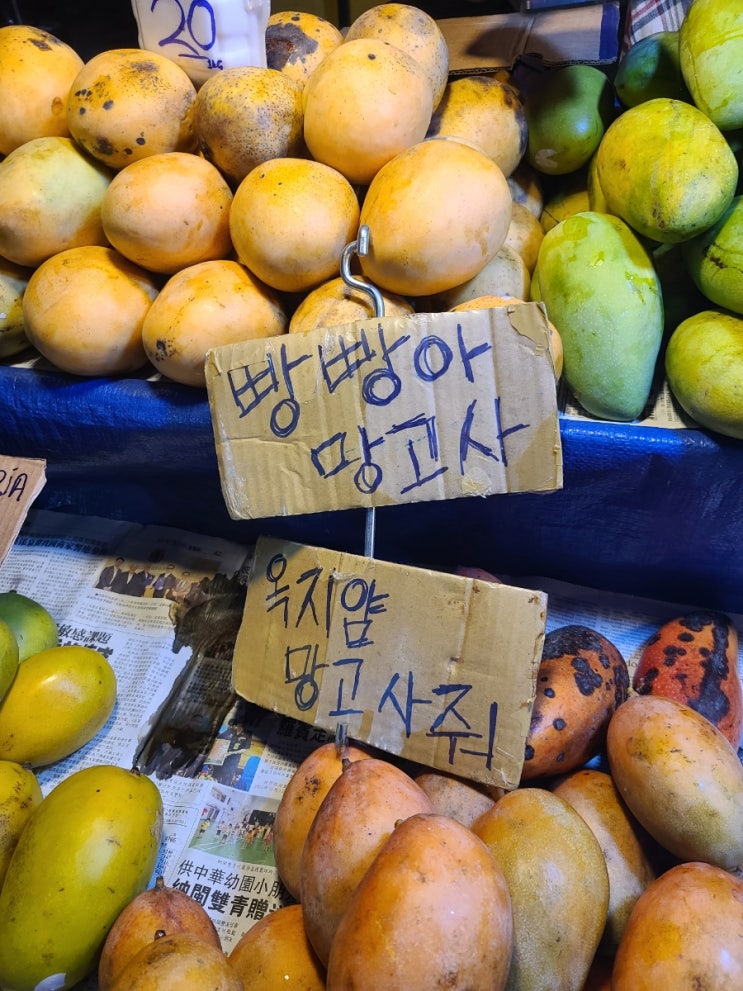  [동남아 여름 여행] 말레이시아 일몰맛집 세계 3대 석양지 코타키나발루 4박6일같은 5박6일 자유여행기 ep2