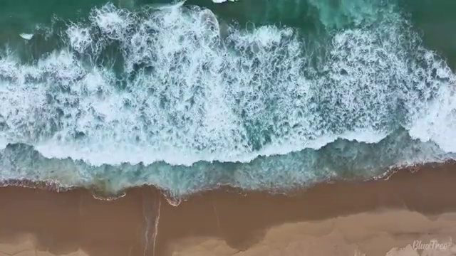  수산물 품질관리사 자격증 , 취득한 방법