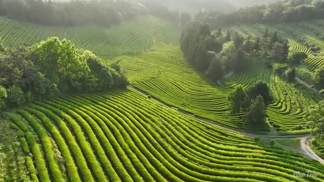  인천 사이버사회복지사실습 . 사회복지사2급 중년 직장인도 온라인 수업으로 간편하게