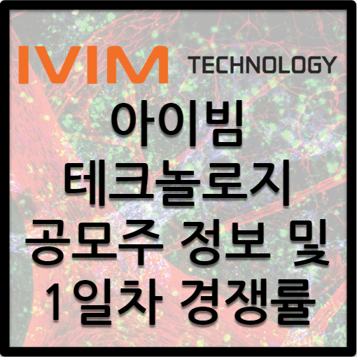  아이빔테크놀로지 공모주 / 공모주소개 및 1일차 경쟁률