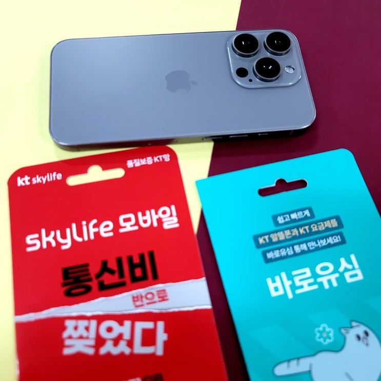  SKT직권해지 시 내명의개통절차