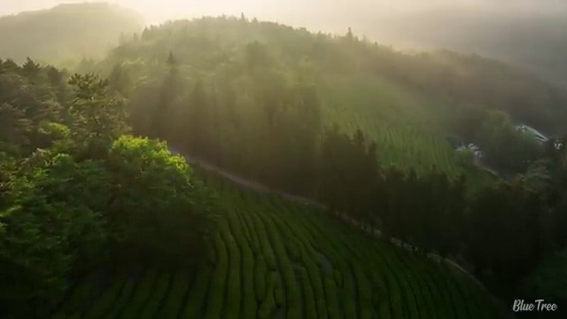  군산 사회복지사 자격증 사회복지사2급 관련학과 아니어도 학점은행제로 쉽고 빠르게