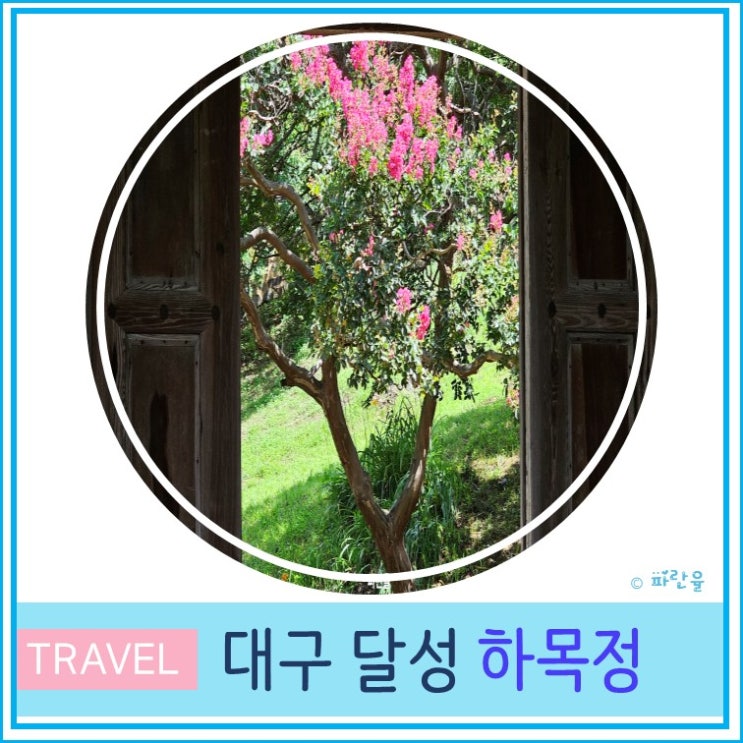  대구 달성 배롱나무 명소 하목정 7월 꽃놀이 가볼만한 곳