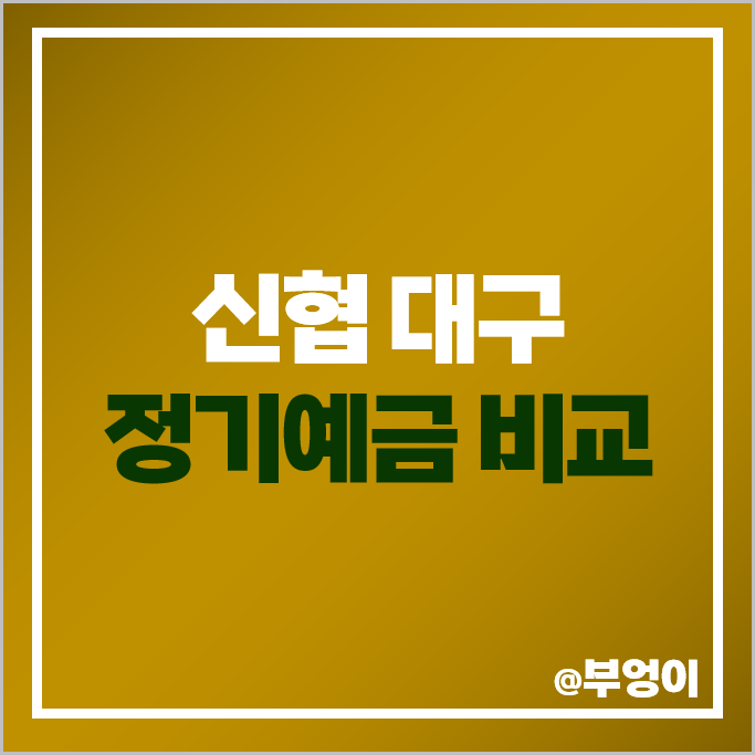 대구 신협 정기예금 금리 비교 이자 높은 예금 특판 추천 대구 신협 정기예금 금리 비교 이자 높은 예금 특판 추천