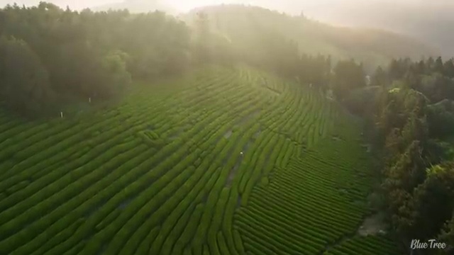  사회복지사실습대학 , 사회복지사 학력 상관없이 온라인으로 편하게