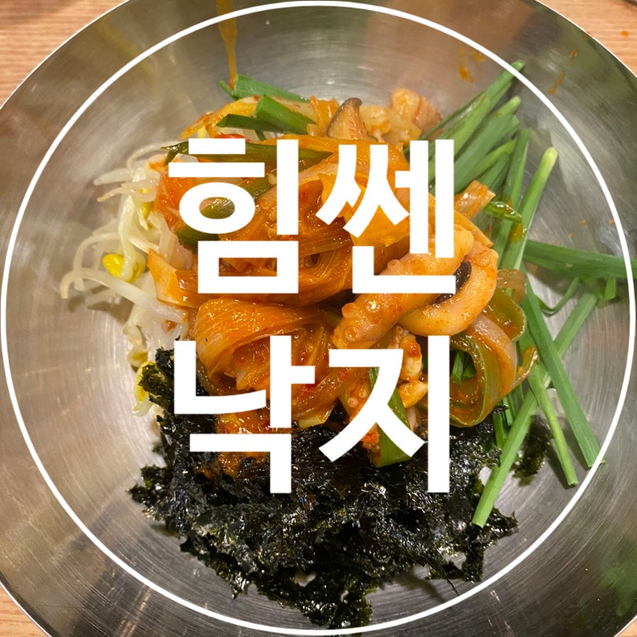 힘센낙지 사진 1
