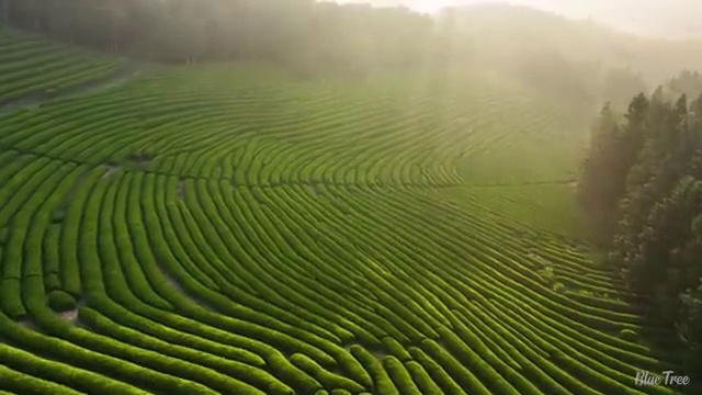  문경 사회복지직민간경력 , 사회복지사2급 경력없어도 온라인 수업으로 손쉽게