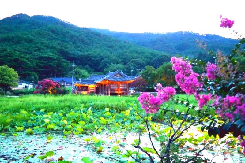 사진 8