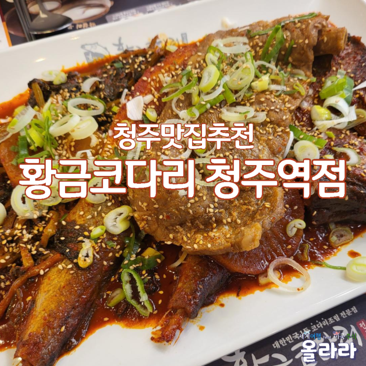  황금코다리 청주역점 막걸리공짜 서촌동맛집
