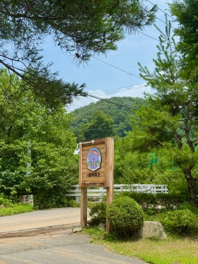 사진 2