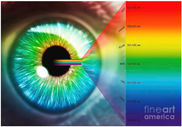 Syntonic Phototherapy : 신토닉 광선요법의 효과와 활용 : 네이버 블로그