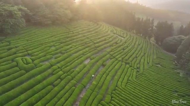  가스산업기사 독학 가스산업기사 자격요건 온라인 수업으로 1학기 만에 완료한 방법