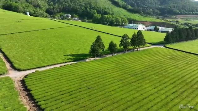  경북 사회복지사자격증교육원추천 , 사회복지사2급 경력없어도 학은제 활용하여 수월하게