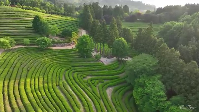  조선산업기사 자격요건 집에서 온라인으로 단기간에 준비한 후기