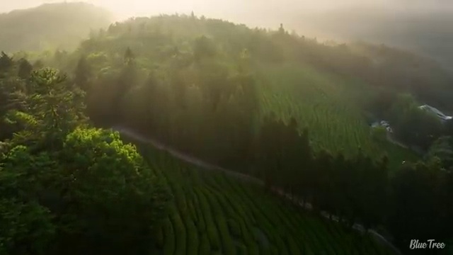  전주 사회복지사원격교육추천 . 사회복지사2급 비전공자도 학은제 활용하여 쉽고 빠르게