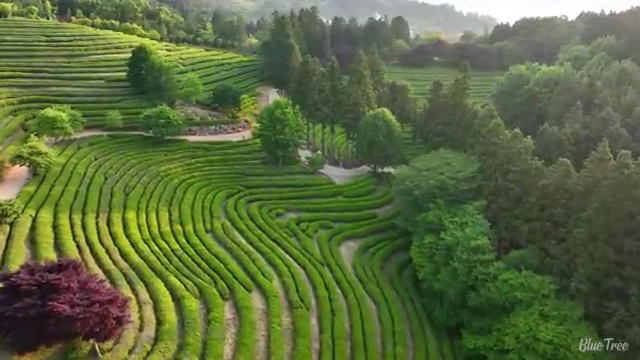  2023 사회복지직 사회복지사 고졸도 온라인 과정으로 수월하게