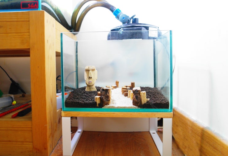 다이소 고무나무로 어항 받침대 만들기 diy