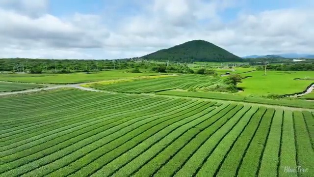 미용사 자격증 기간 , 학은제 동영상만 듣고 미용종합면허증 취득하고 취업한 팁