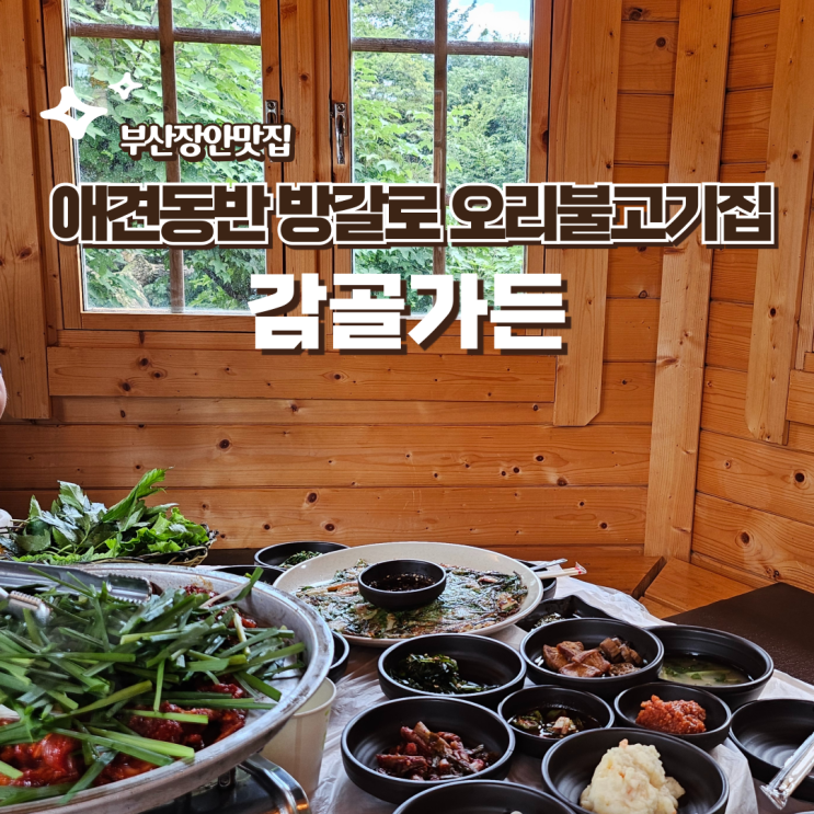  부산 기장 장안사 프라이빗한 방갈로 감성적인 애견동반식당 감골가든 오리불고기 해물파전 웨이팅 예약 솔직후기