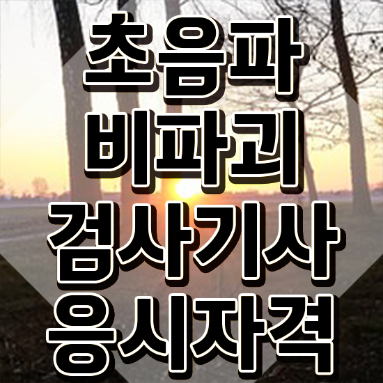 초음파비파괴검사기사 시험자격 온라인 과정으로 단기간에 성공한 전략