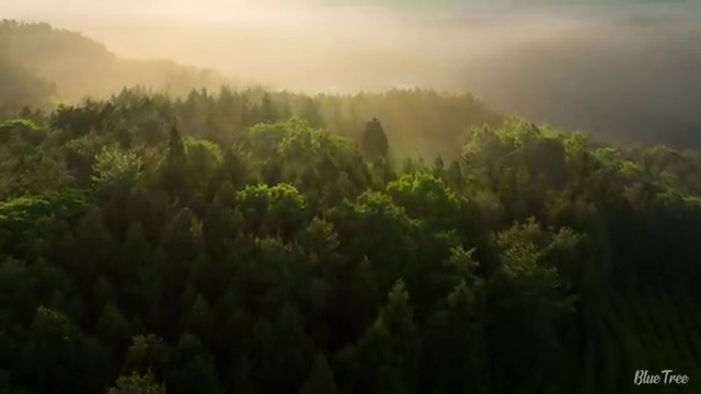  천안 사이버대학사회복지학과 , 사회복지사2급 조건이 안돼도 온라인 수업으로 쉽고 빠르게