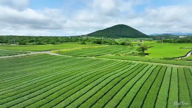  광주 사회복지사전문학사 . 사회복지사2급 중년 직장인도 학은제 활용하여 간편하게