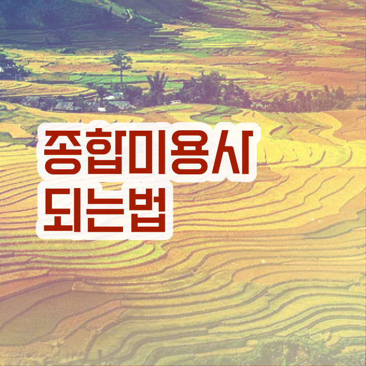  미용자격증 필기 시험 준비 안해도 , 온라인 수업만으로 헤어미용자격증 따고 취직까지 성공한 팁