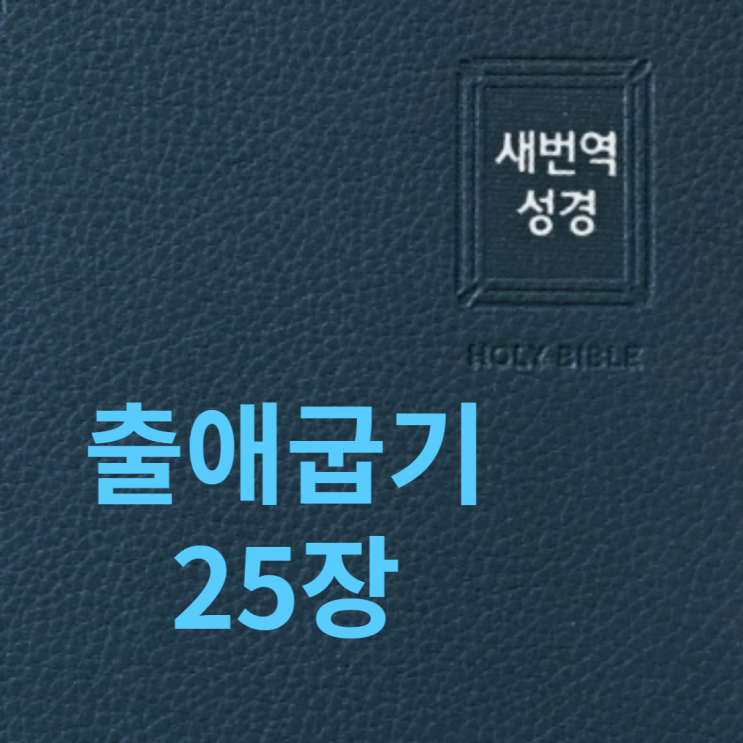 출애굽기 25장 출애굽기 25장