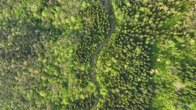  시각디자인기사 합격 시각디자인기사 자격요건 학점은행제로 1학기 만에 준비한 노하우