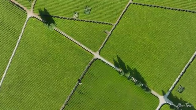  시각디자인산업기사 취득자격 독학으로 5개월 만에 완료한 노하우