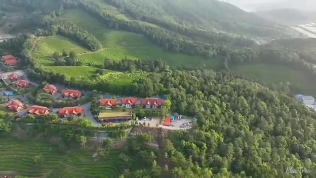 학점은행제학사 학위 집에서 온라인으로 관련학과 아니어도 편하게 준비했던 방법