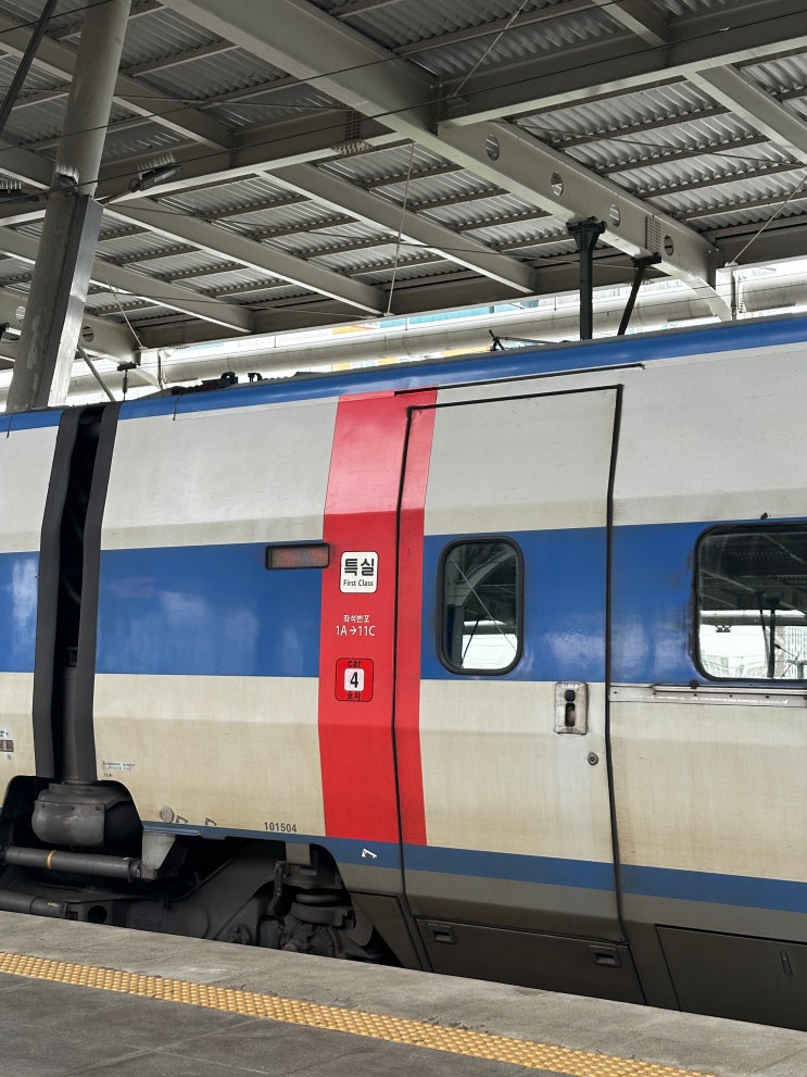  KTX 특실 체험기