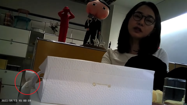 게이트·<b>김건희</b>명품백·개사과·생중계·이진숙·채상병<b>특검</b>법부... 
