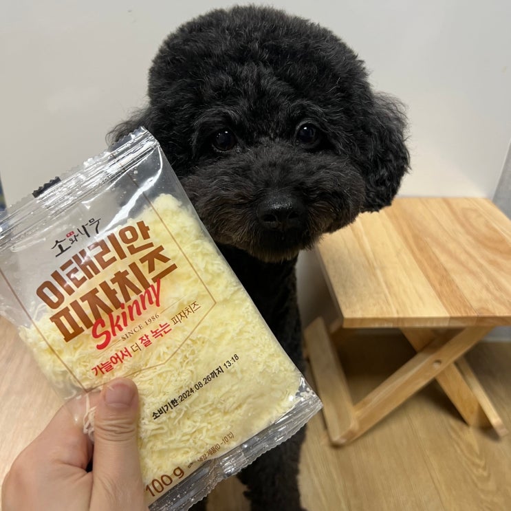  강아지 사람치즈 먹어도 되나요? 종류 효능 주의할점