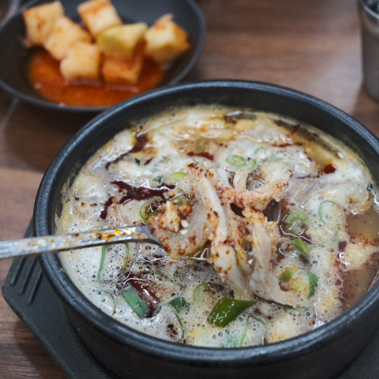  제주 조천 맛집 인생 내장탕 성시경 먹을텐데 함덕골목 본점
