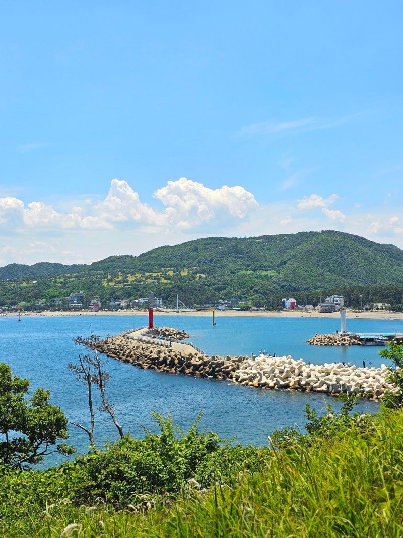 8월 경주 가볼만한 곳 경주 역사 유적지 야경 명소 투어