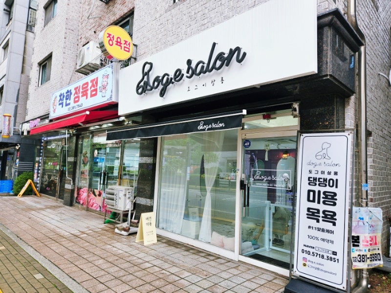 사진 4