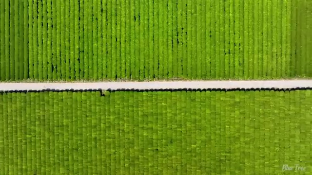  산림기사 필기 난이도 산림기사 응시조건 온라인 과정으로 편하게 성공한 노하우