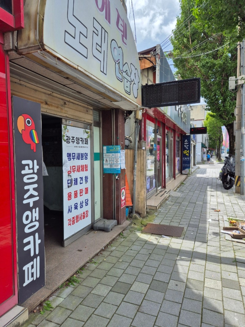 사진 2